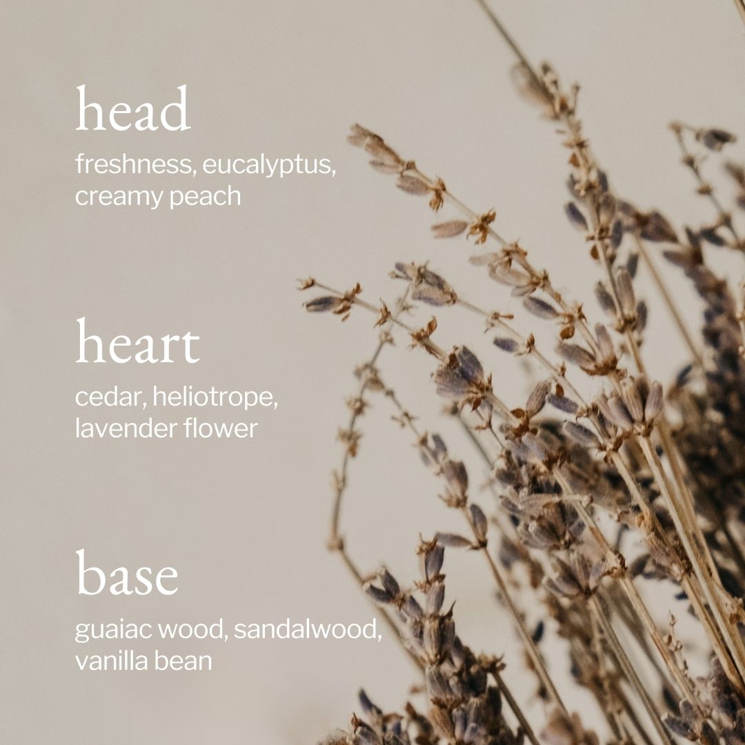 Soja&Co Bougie Lavande, Santal et Vanille