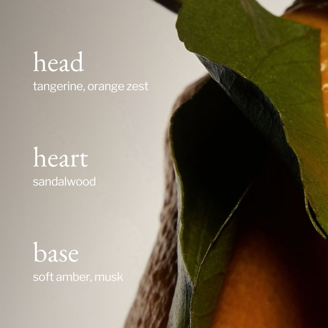 Soja&Co Lait corporel Mandarine, Santal et Ambre