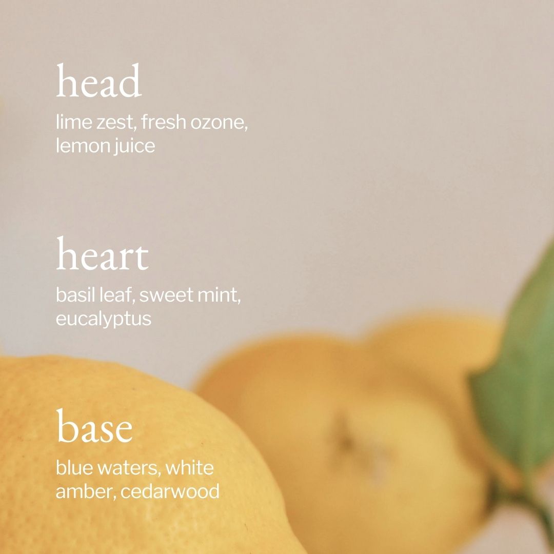 Soja&Co Liquide vaisselle Citron, Sauge et Romarin