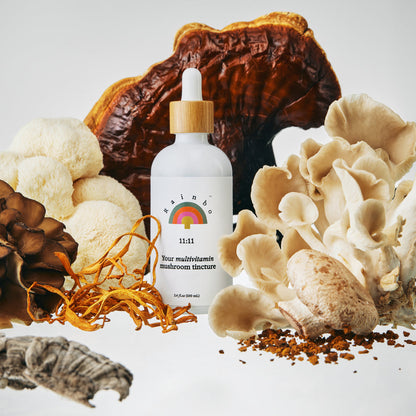 Rainbo 11:11 Multi-Mushroom Tincture