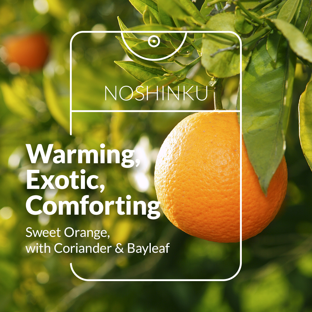 Noshinku - Vaporisateur Désinfectant Mains Orange Coriandre