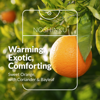 Noshinku - Vaporisateur Désinfectant Mains Orange Coriandre