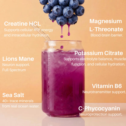 Good Livin Salty Einstein - Hydration & Cognitive Function