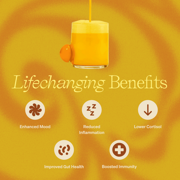 Clevr Golden SuperLatte