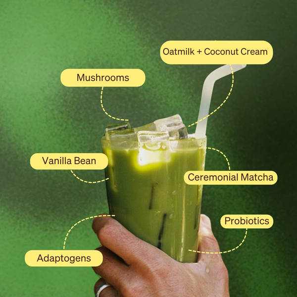 Clevr Honey Vanilla Matcha SuperLatte