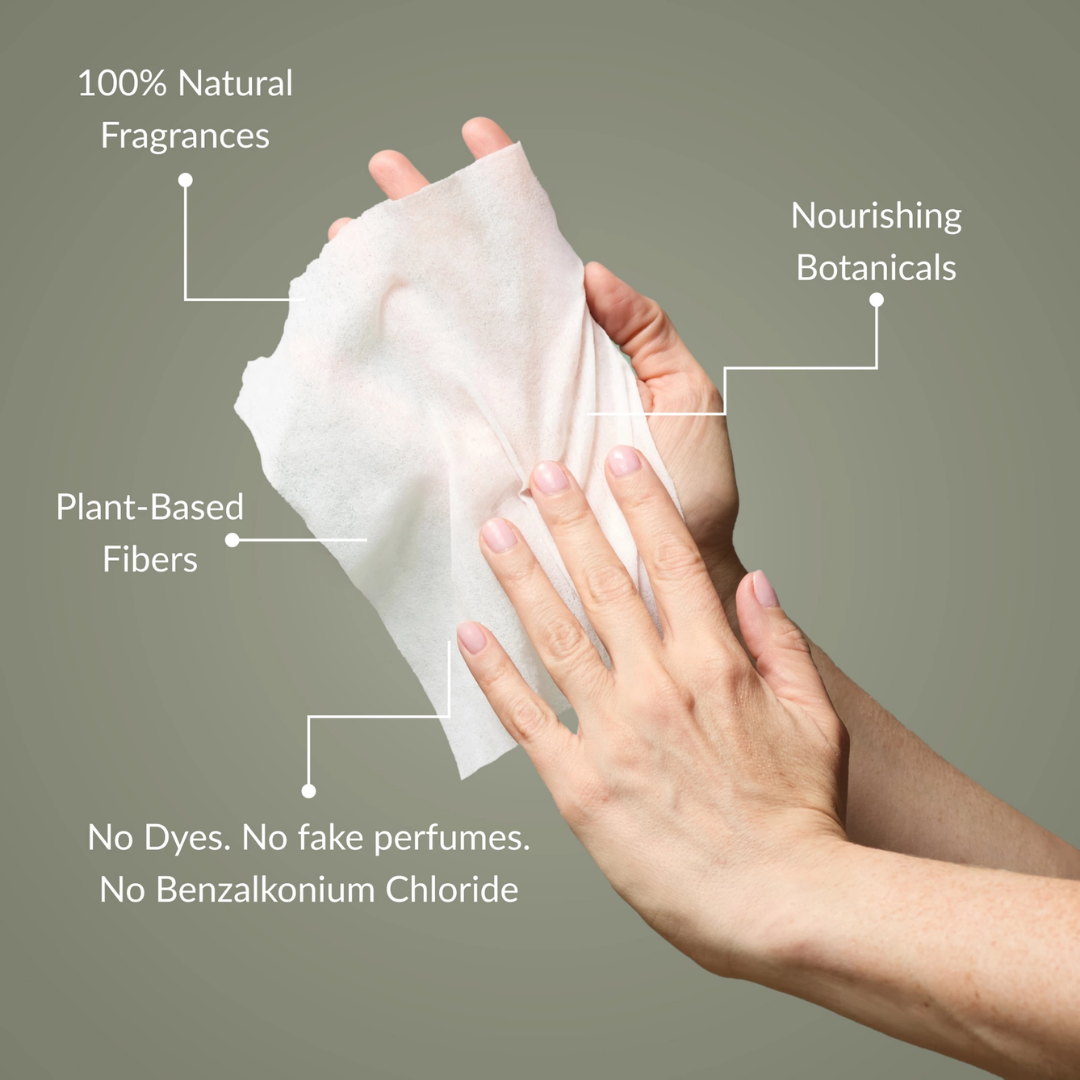 Noshinku Eucalyptus Nourishing Hand Sanitizing Travel Wipes