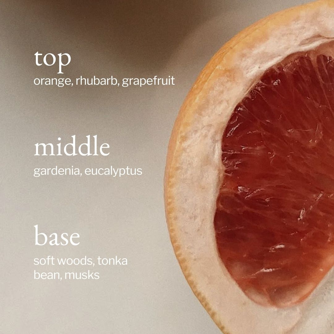 Soja&Co Dish Soap Eucalyptus + Grapefruit