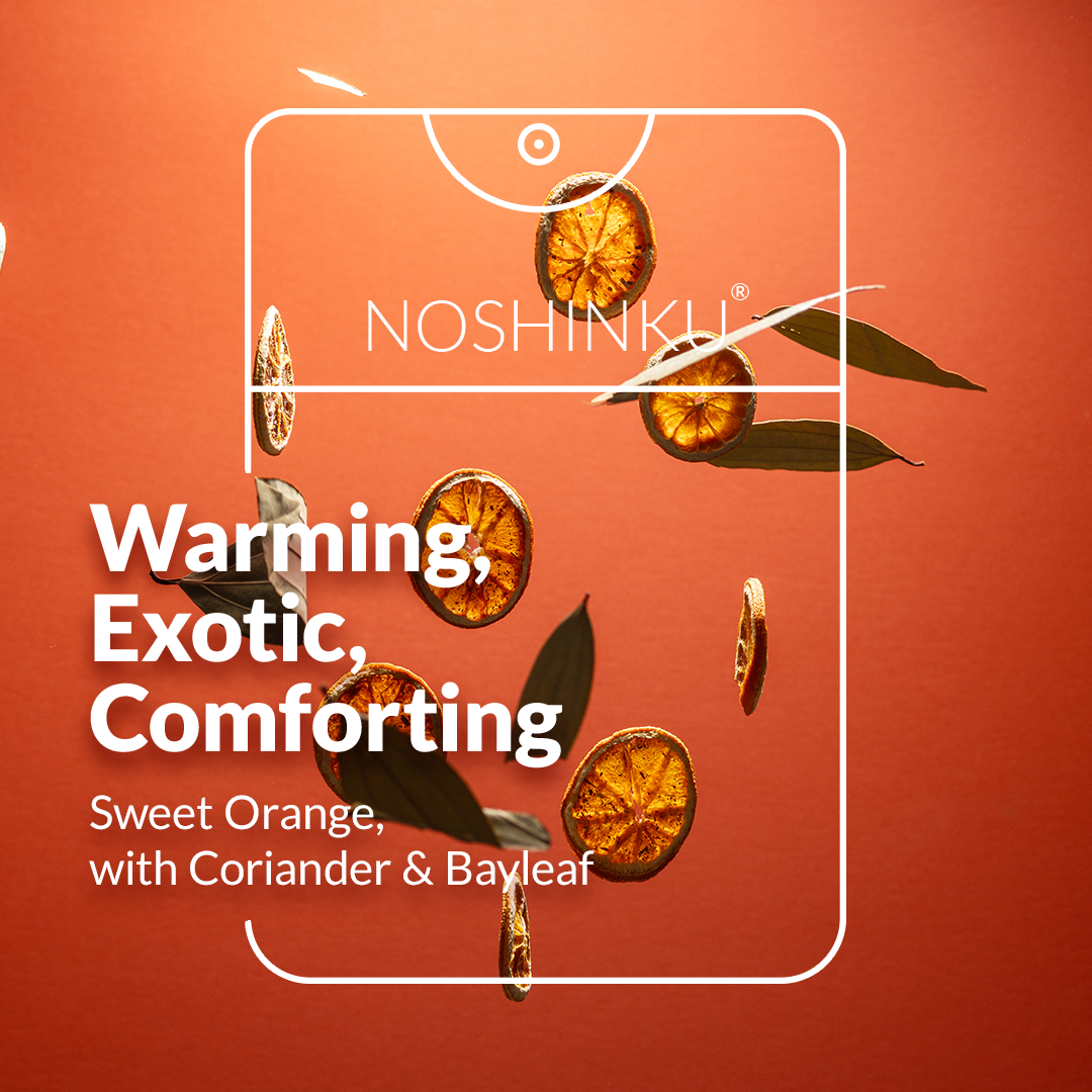 Noshinku - Vaporisateur Désinfectant Mains Orange Coriandre